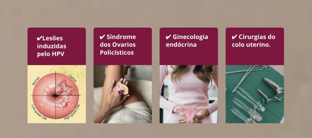 Captura de Tela 2025-09-21 às 17.33.00